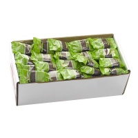BIODARMA GRANEL DELIZIAS ALGARROBA 1.5KG
